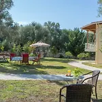 Oli Terra