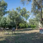 Oli Terra
